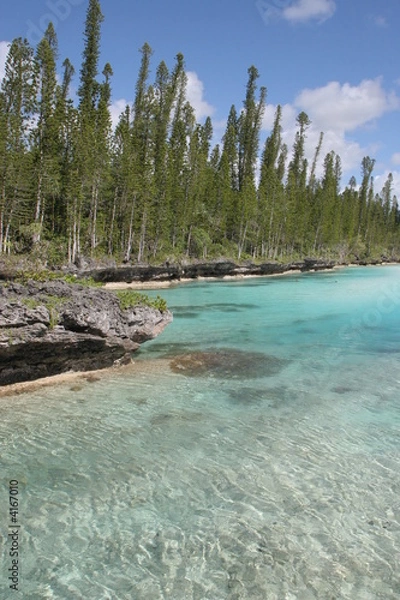 Obraz Natural paradise pool 2