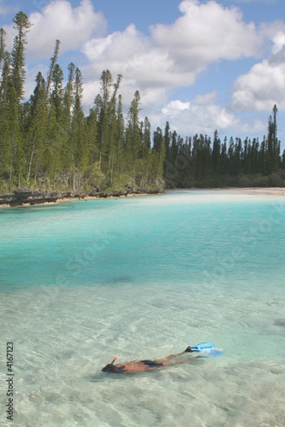 Obraz Swimming in paradise