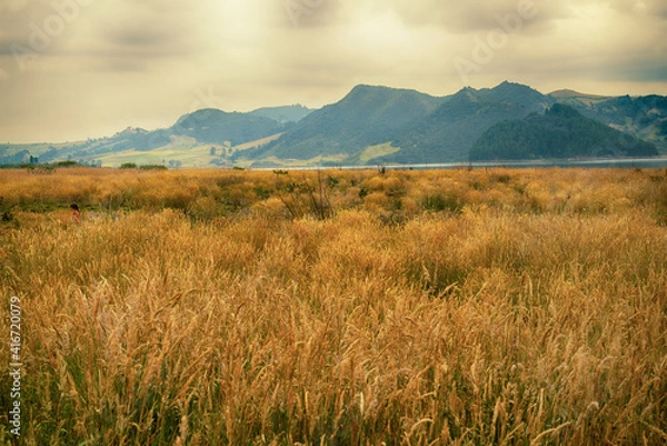 Obraz landscape with mountains