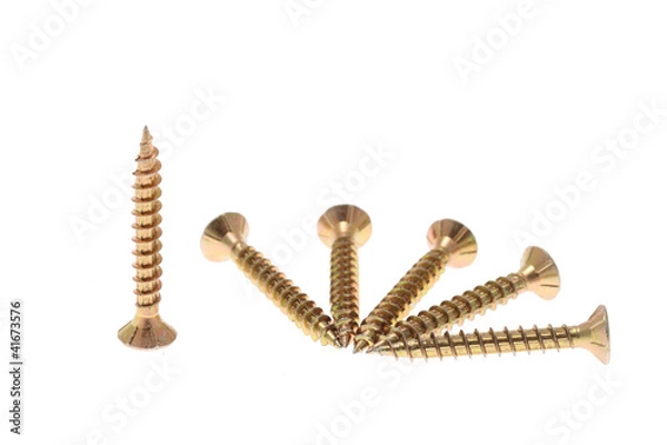 Obraz Screws isolated