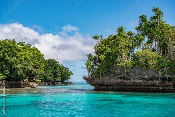 Obraz Tropical bay in the area of the islands duke of york in Papua New Guinea.