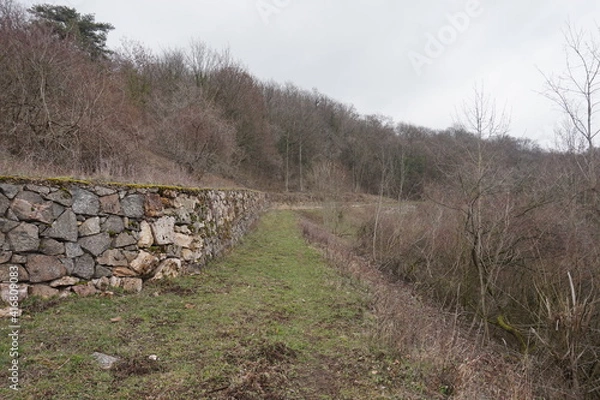 Fototapeta Path along stone wall in forest