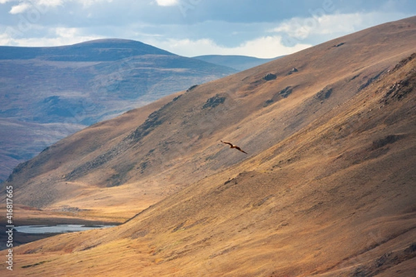 Obraz Beautiful summer landscape in the mountains. Bird soars between the mountains