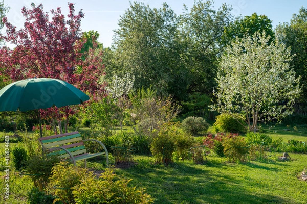 Obraz Spring blooming garden. A wooden bench stands under an umbrella from the sun. A seating area in your garden.