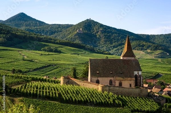 Fototapeta Summer sunset view of the medieval church of Saint-Jacques-le-Major in Hunawihr, small village between the vineyards of Ribeauville, Riquewihr and Colmar in Alsace, wine making region of France