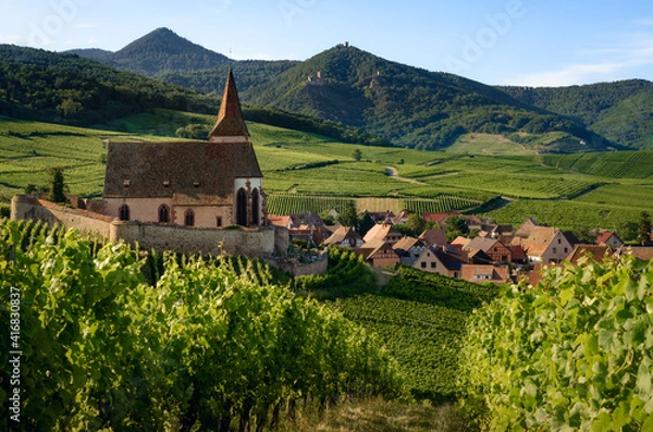 Fototapeta Summer sunset view of the medieval church of Saint-Jacques-le-Major in Hunawihr, small village between the vineyards of Ribeauville, Riquewihr and Colmar in Alsace, wine making region of France