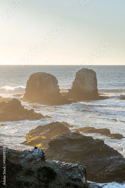 Obraz beach at sunset