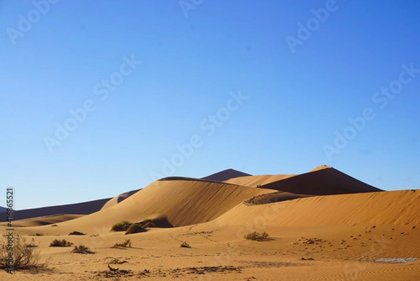 Fototapeta ナミビアのデッドフレイ死の沼