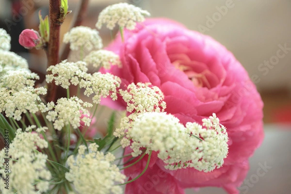 Fototapeta ラナンキュラスとホワイトレースフラワー