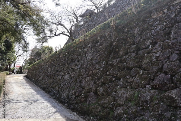 Fototapeta 高知城の石垣