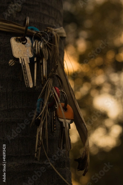 Obraz Llaves perdidas