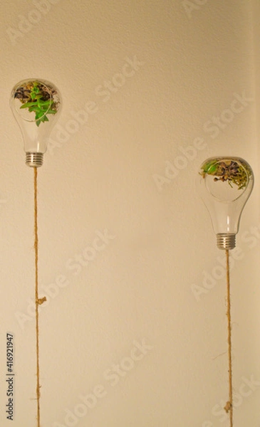 Obraz schwebende Kaktuslampe