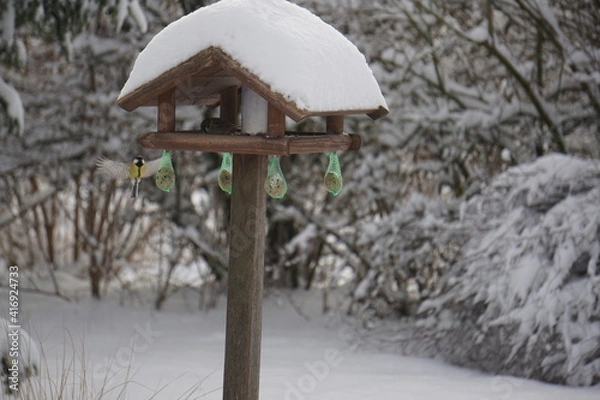 Obraz Vögel im Winter