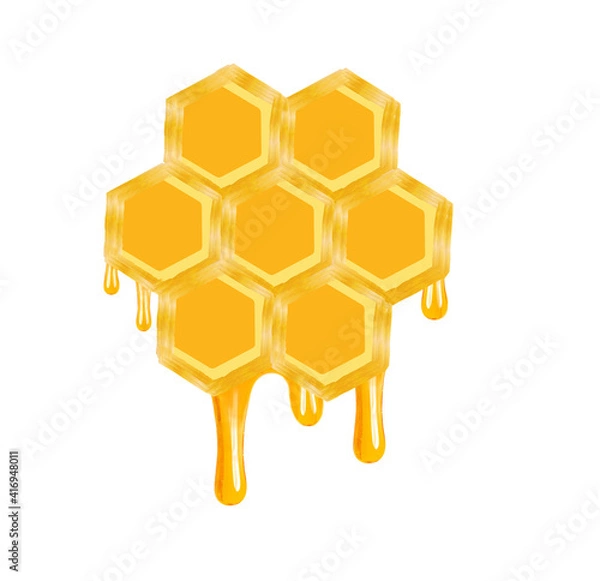 Fototapeta honeycomb dripping honey isolated on a white background