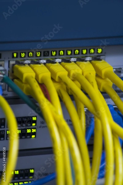 Obraz Computer network cables plugged in a hub