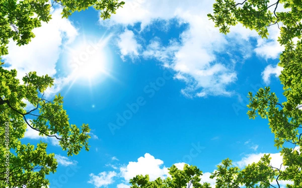 Fototapeta green trees and a cloudy blue sky