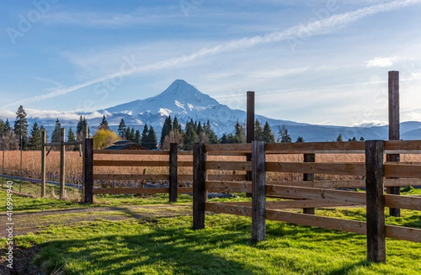 Obraz Mount Hood