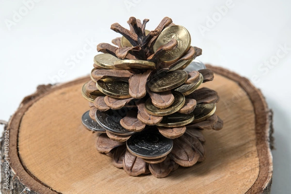 Fototapeta still life "money tree": a cedar cone with coins on a cut of a tree. Inscription on the coins: Bank of Russia, Russian Federation