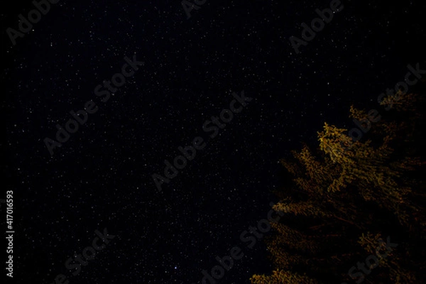 Obraz starry night sky