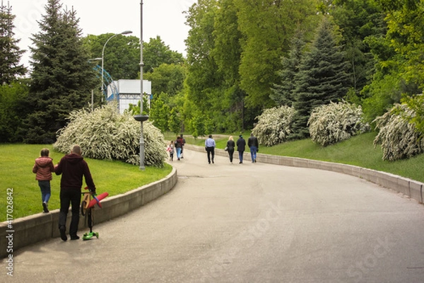 Fototapeta People are walking in a blooming city park on a nice spring day. A father holds little daughter's hand as she walks along the parapet. A beautiful green garden. An asphalt road goes into the distance.