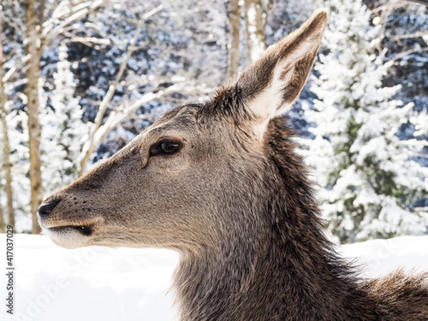 Obraz OLYMPUS DIGITAL CAMERA