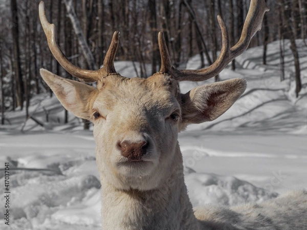 Obraz OLYMPUS DIGITAL CAMERA