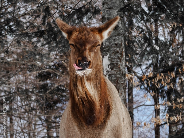 Obraz OLYMPUS DIGITAL CAMERA