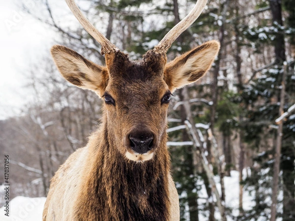 Obraz OLYMPUS DIGITAL CAMERA