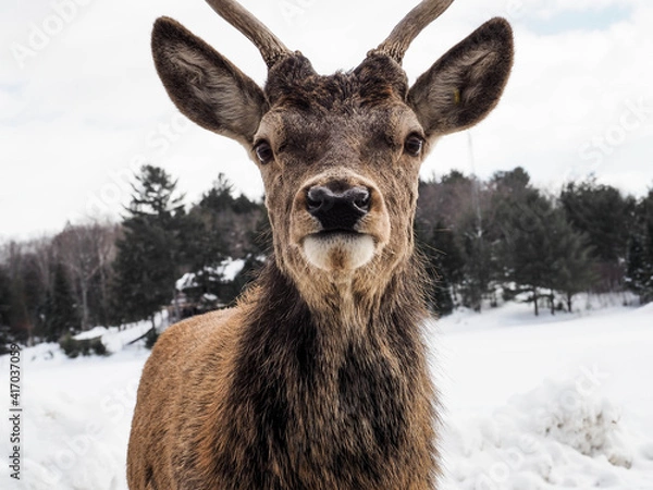 Obraz OLYMPUS DIGITAL CAMERA