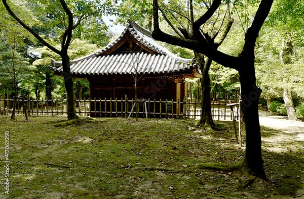 Fototapeta 書写山円教寺　金剛堂　兵庫県姫路市