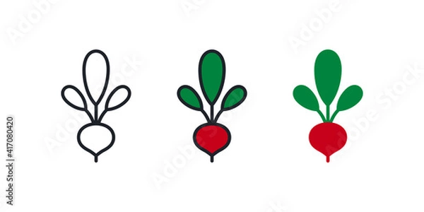 Fototapeta Beetroot icon. Linear color icon, contour, shape, outline isolated on white. Thin line. Modern design. Vector set. Illustrations of vegetables.