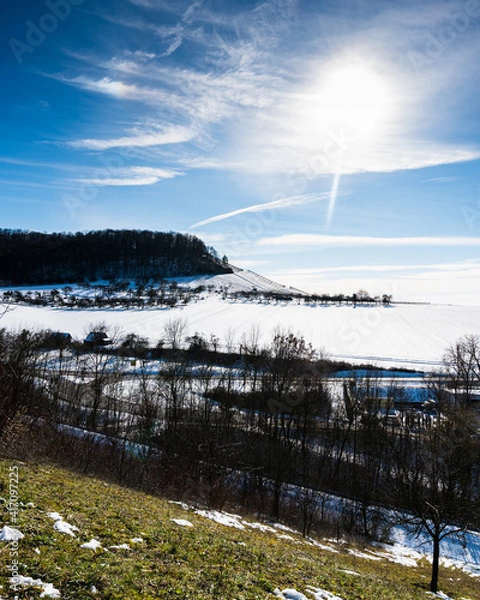 Fototapeta A beautiful shot of a snowy vineyard with a forest on a hill and a blue cloudy sky in the background.