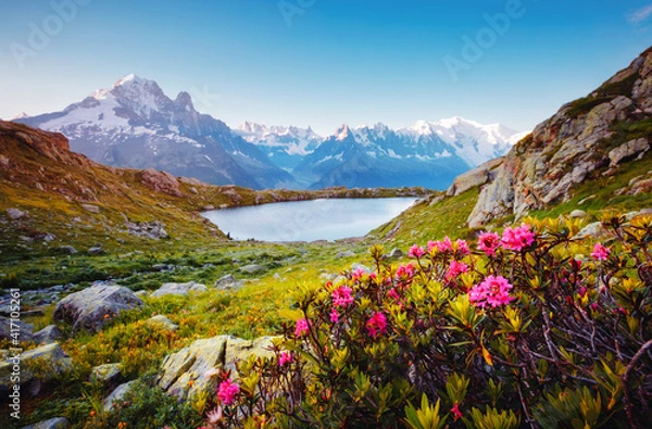 Obraz Wielki lodowiec Mont Blanc z Lac Blanc. Miejsce lokalizacji Ośrodek Chamonix, Alpy Grajskie, Francja, Europa.