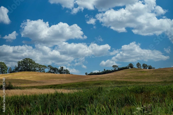 Obraz field and blue sky