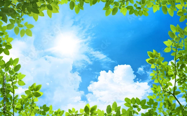 Fototapeta green trees and a cloudy blue sky