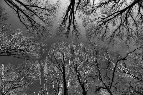 Fototapeta ”Das hellste Licht macht die dunkelsten Abdrücke.”

Henry Holmes Smith (geb.1909 - †1986)