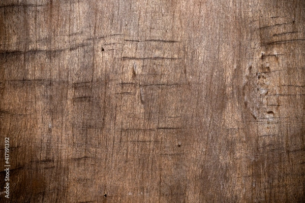 Obraz wood texture	