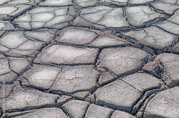 Obraz Background of polygonal gray clay takyr.