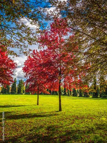 Obraz Couleurs d'automne