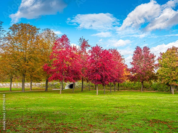 Obraz Couleurs d'automne