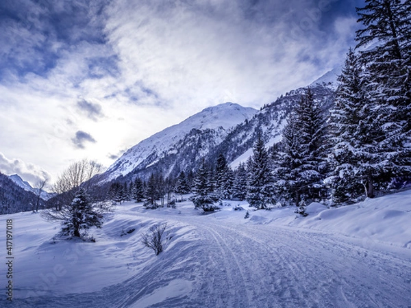 Obraz Paysage neigeux