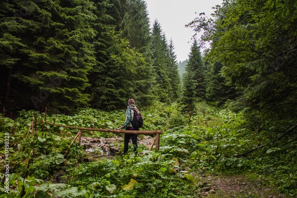 Fototapeta Hiker on a bridge in forest looking at trees and crossing a stream