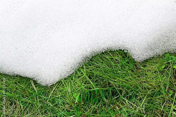 Fototapeta top view: green spring grass appeared from under the snow