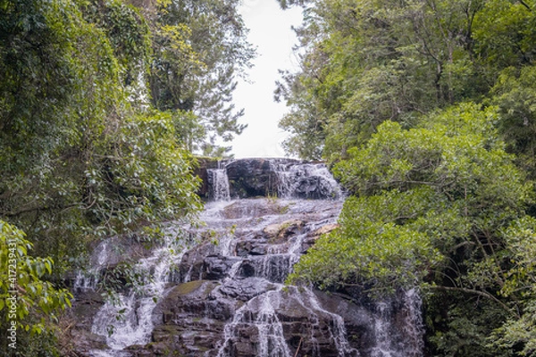 Fototapeta waterfall in the forest