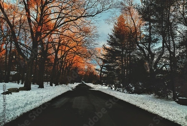 Obraz Winter morning