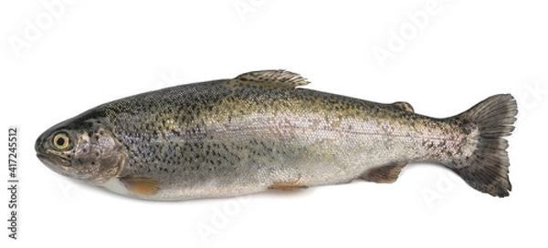 Obraz freshly caught trout