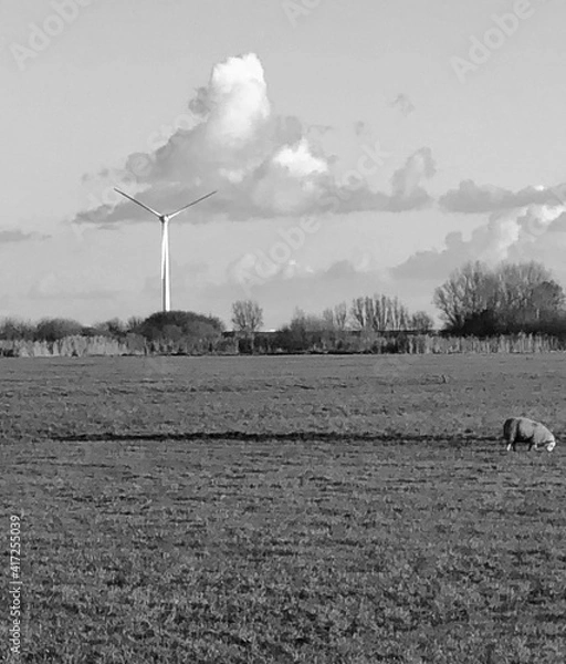 Obraz Holland wind power