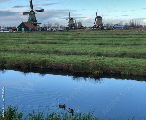 Obraz Windmill holland 