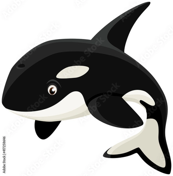 Fototapeta Vector illustration of a happy cartoon orca (killer whale).