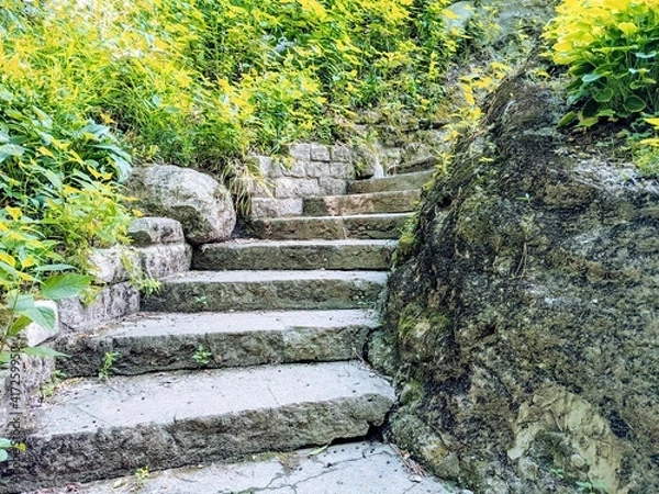 Fototapeta stone steps in the garden